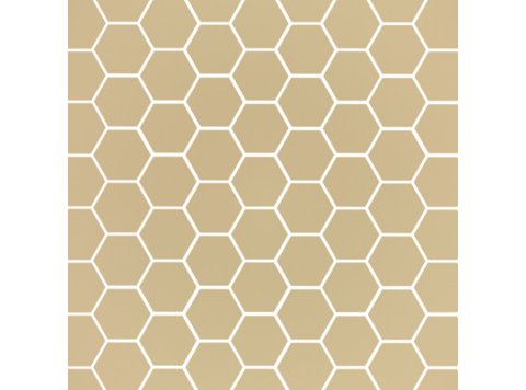 LE/6 Inch Hexagonal Back Wall Palatine Granite