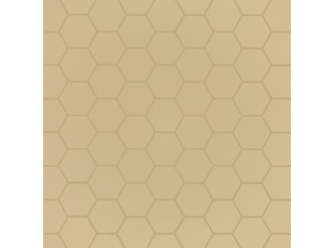 LE/6 Inch Hexagonal Wainscot Biscuit