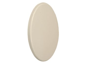 4 Inch Hole Cap Biscuit