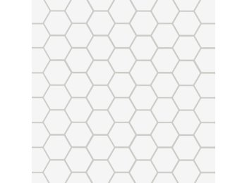 Imp/Hexagonal Wainscot Matte White Grayline