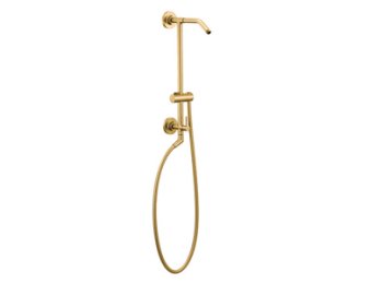 Annex Shower Only - No Showerhead, Brushed Gold