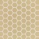 LE/6 Inch Hexagonal Back Wall Palatine Granite