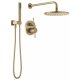 Modern Two Handle Single Function Shower System in Champagne Bronze